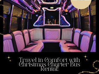 Christmas Limo Rides