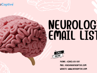 Are you Looking for Qualified Neurologist Email List in USA