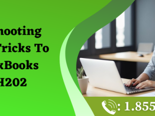 Effective fixes for QuickBooks Error Code H202