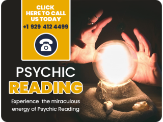 Discover the Best Psychic Reader in Chicago: Rishi Astrologer