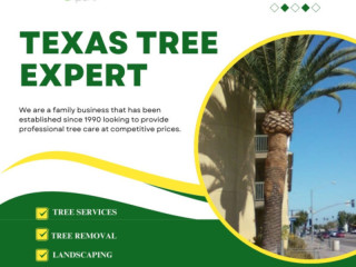 Reliable Tree Emergency in Houston