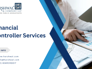 Financial Controller Services for Your Business