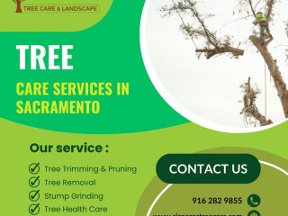 Professional Tree Service in Sacramento – Expert Care