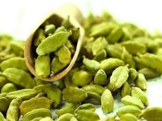 High-Quality Green Cardamom – Shagun Enterprises Excellence