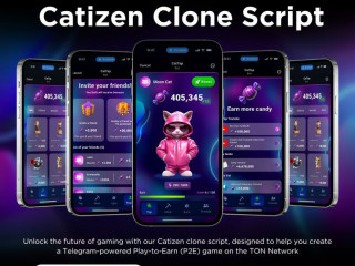 Develop the Ultimate Cat Simulation Game with Catizen Clone Script