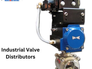 Industrial Valve Distributors