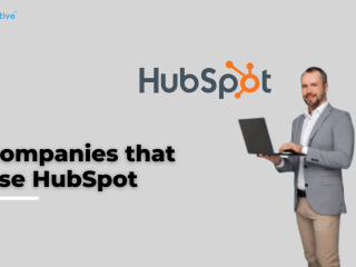 Find Companies Using HubSpot with Verified Contact Data