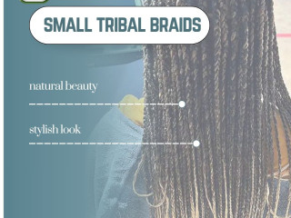 Small Tribal Braids: Elegant, Natural Styles by Diena Simply Natural