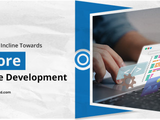 Offshore Salesforce Development Services by 360 Degree Cloud