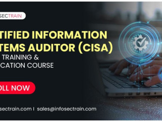 Top CISA Training Online