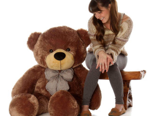 Crazy Big 4 Foot Stuffed Animals - Giant Teddy