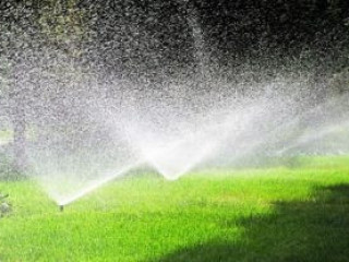 The Importance of Professional Drainage Services for a Healthy Landscape