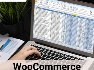 Professional WooCommerce Data Entry Services for Seamless Store Management