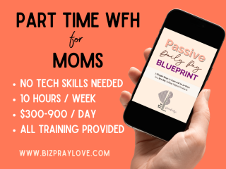 $900/Day Side Hustle for Moms