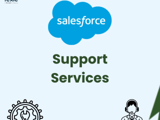 Hire Salesforce Support and Maintenance Services & Enjoy the Best of Both Worlds