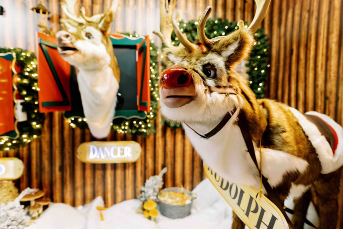 animatronics-christmas-animals-characters-suppliers-in-vietnam-big-1